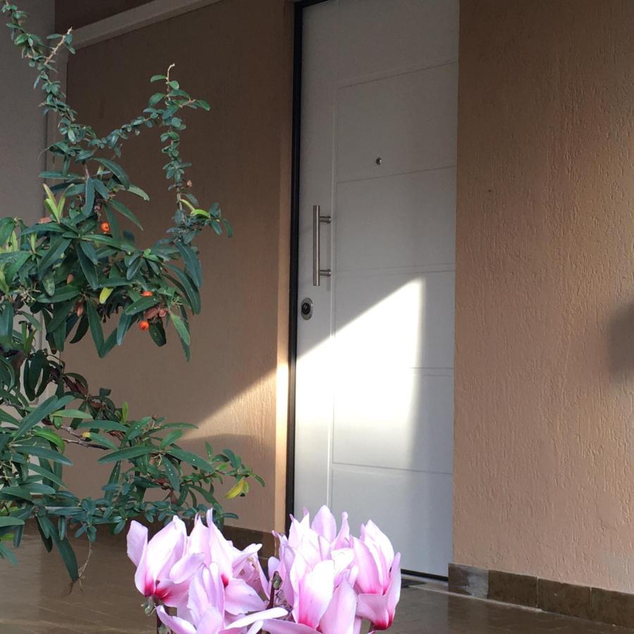 Casa Di Lucia B&B Ladispoli Buitenkant foto
